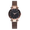 Luxury Magnetic Starry Sky Quartz Watch